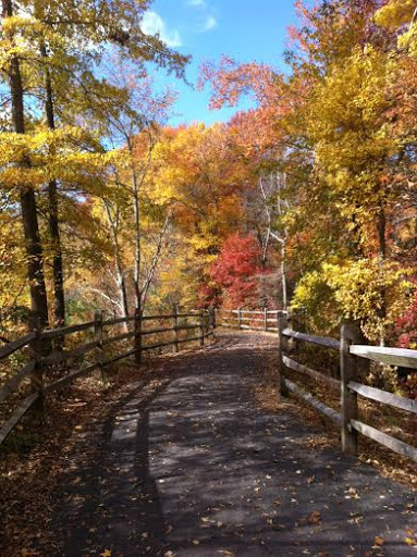 3rd place — Beautiful Fall Day by Eric Houser