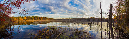 1st place — Panoramic from a Beaver Dam by Dan Leeder