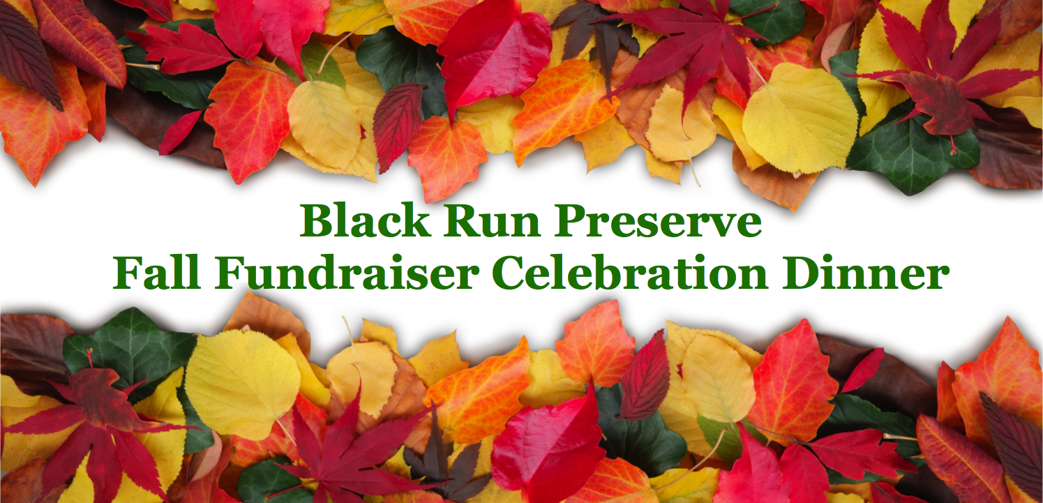 Fall Fundraiser Celebration Dinner