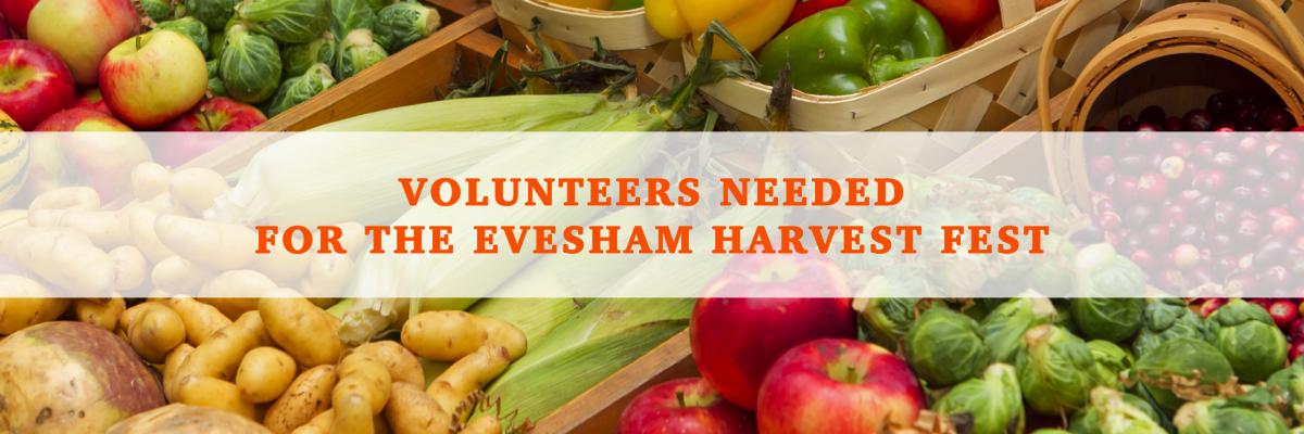 Volunteers needed for the Evesham Harvest Fest.