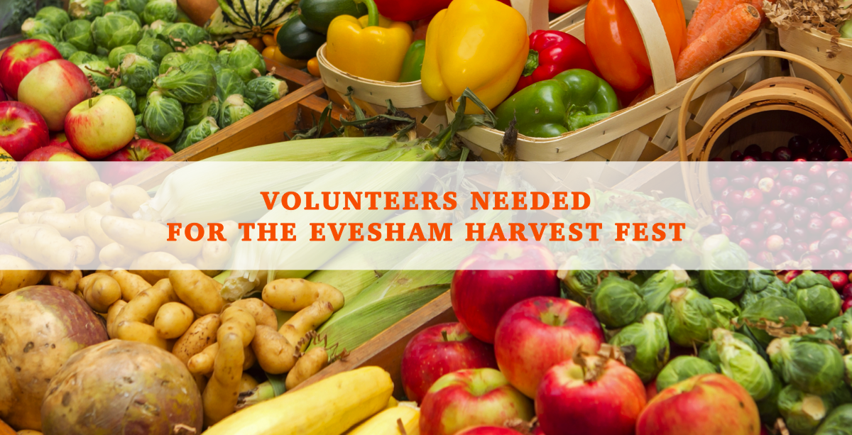 Volunteers needed for the Evesham Harvest Fest.