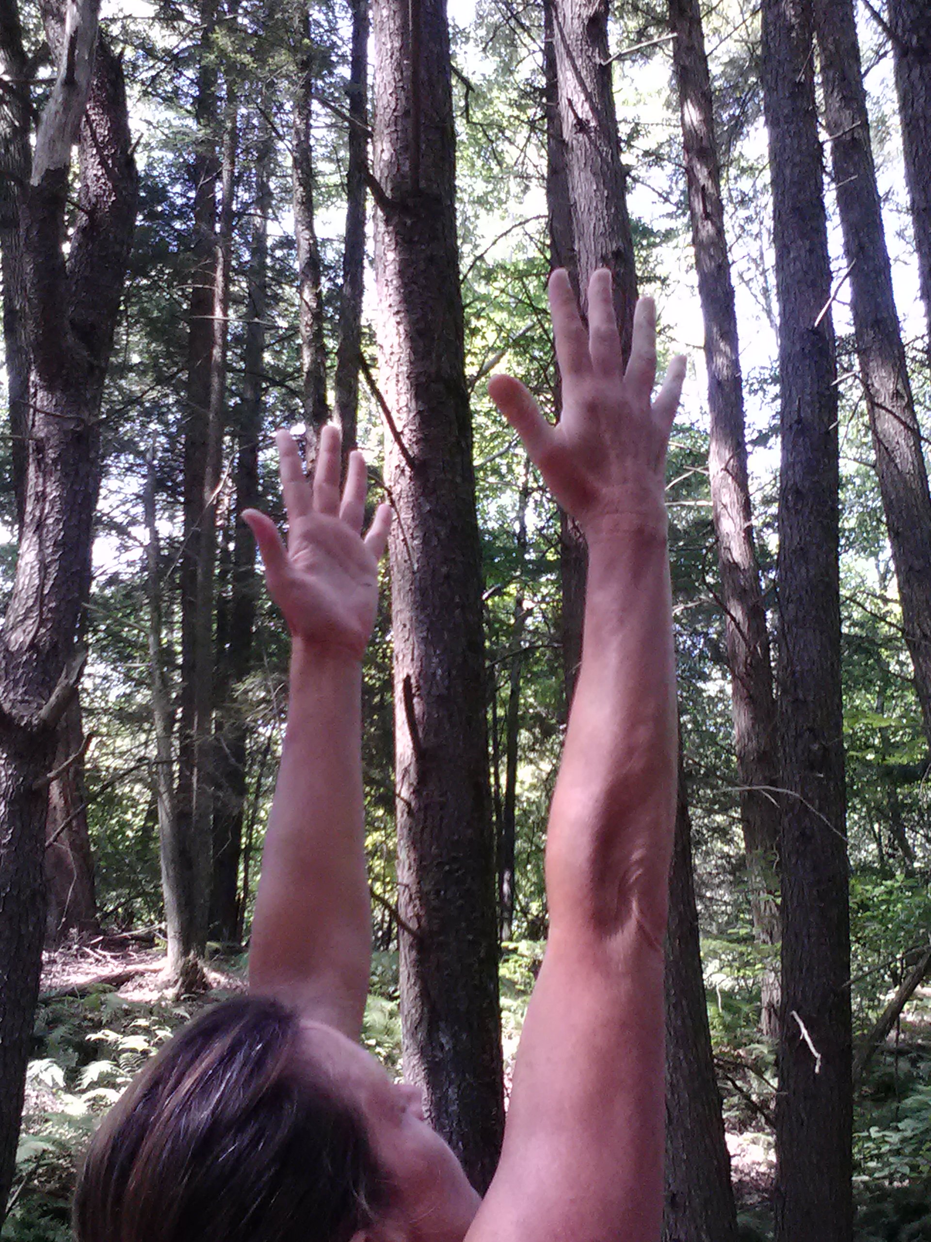 Black Run Preserve Hike and Yoga - Photo by